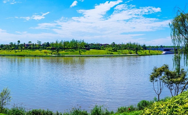 加强排口在线监测，严守水环境质量